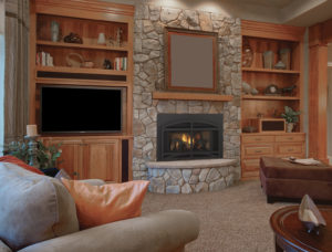 QFI30 traditional gas insert